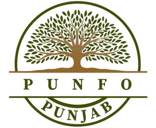 PUNFO-LOGO-